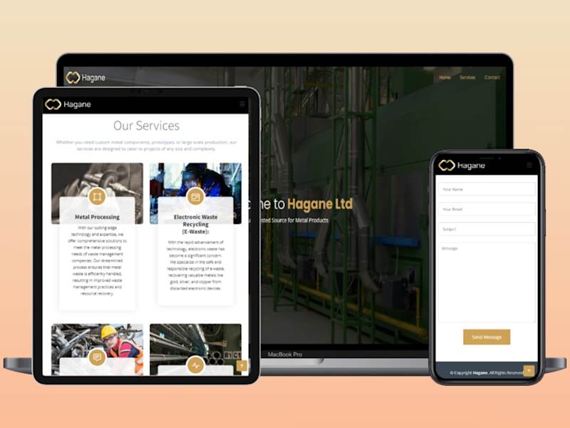 Cover image for Hagane Ltd