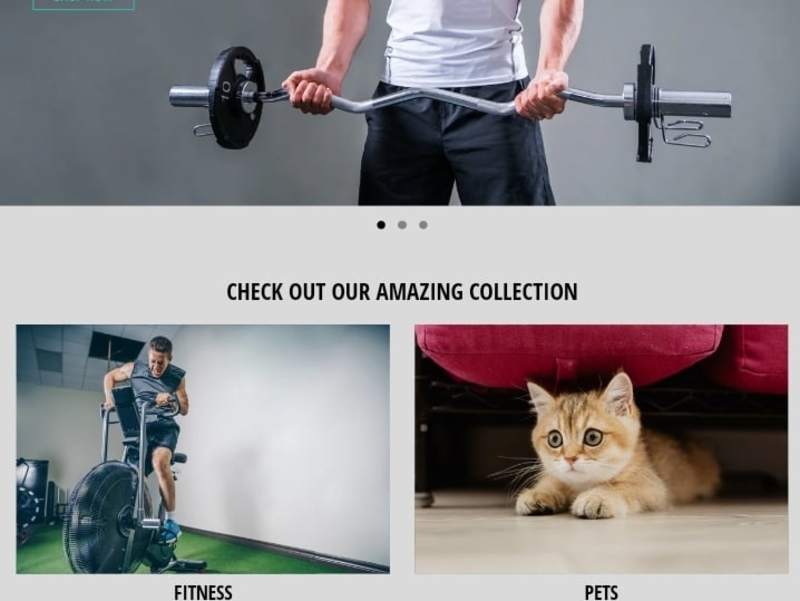 Cover image for Shopify development 