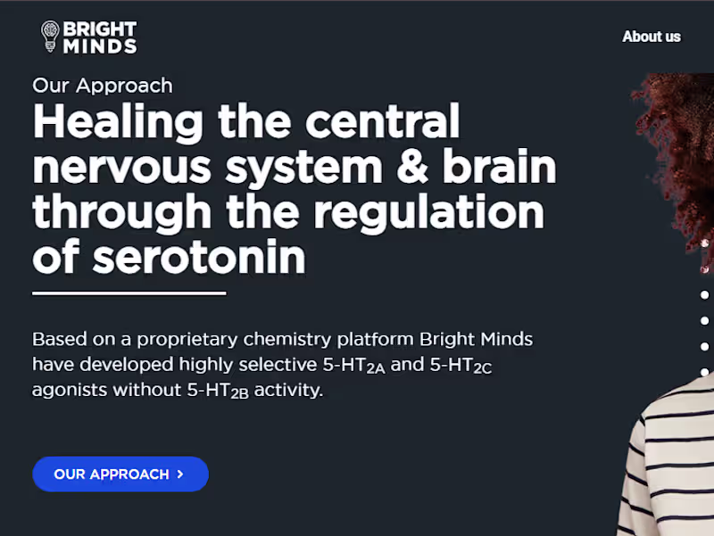 Cover image for Rank your website at the top with SEO content created by me!