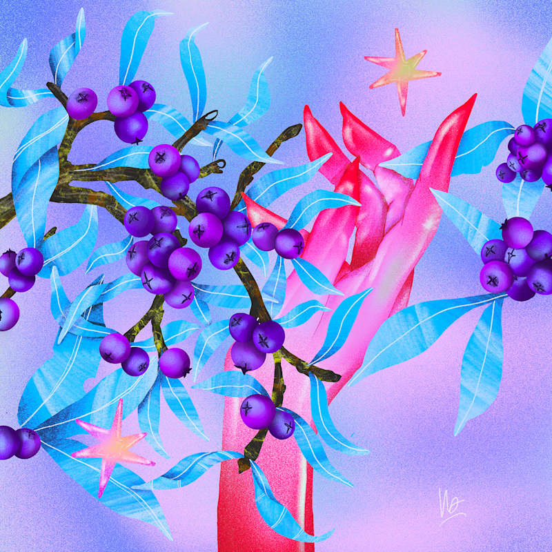 Cover image for Illustration work | 2023