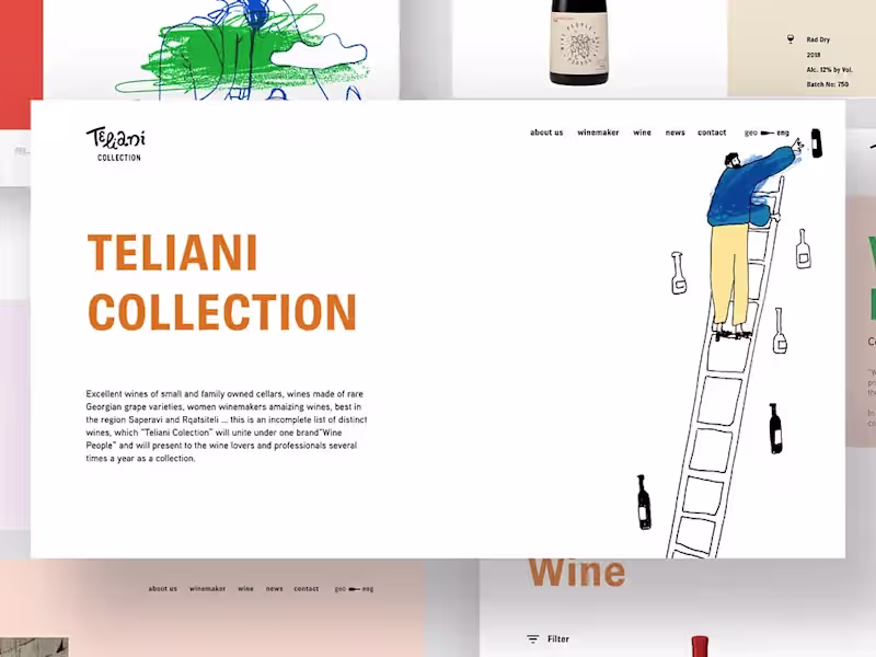 Cover image for Teliani Collection Website