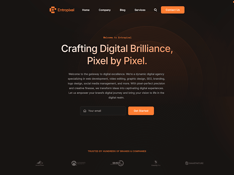 Cover image for Entropixel Agency Website Development