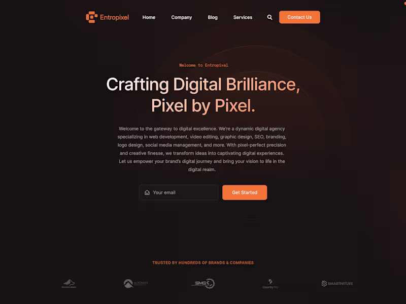 Cover image for Entropixel Agency Website Development