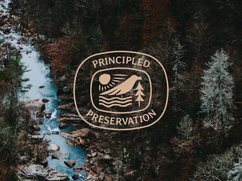 Cover image for Principled Preservation Logo