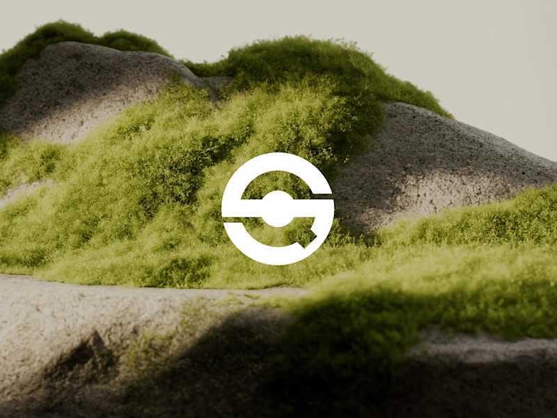 Cover image for Q-Selection Visual Identity and Branding