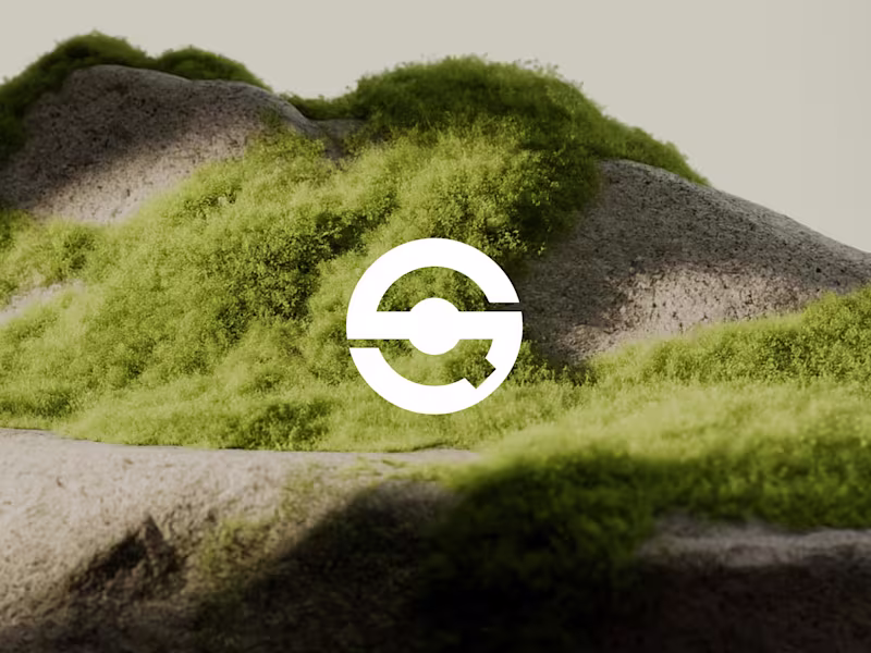 Cover image for Q-Selection Visual Identity and Branding