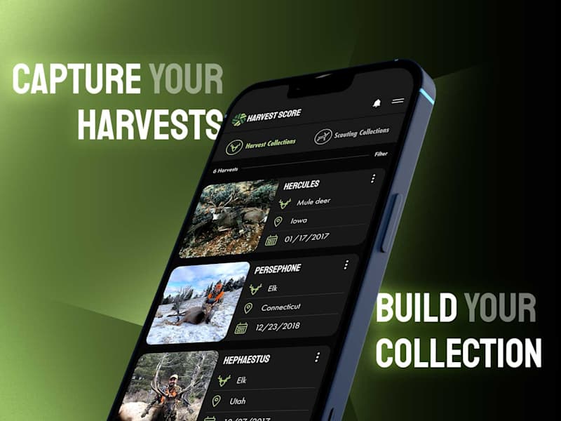 Cover image for Harvest Score Visual Identity System, Ux/Ui, Art direction
