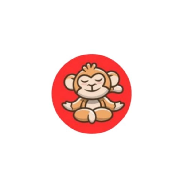 Cover image for Gigi Monkey