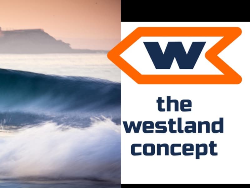 Cover image for Creating a Positive Brand.