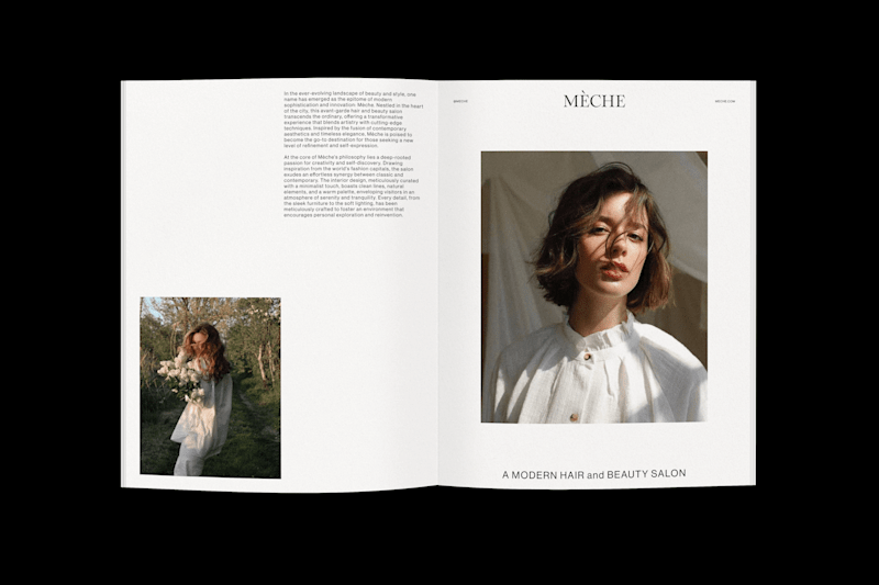 Cover image for Mèche