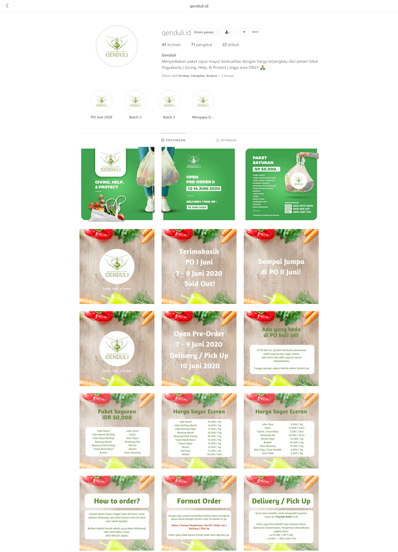 Cover image for Genduli