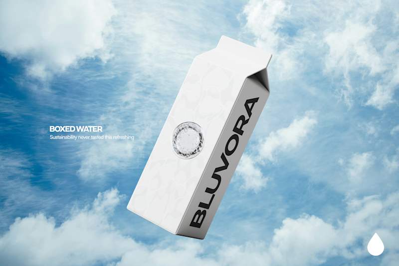Cover image for BLUVORA