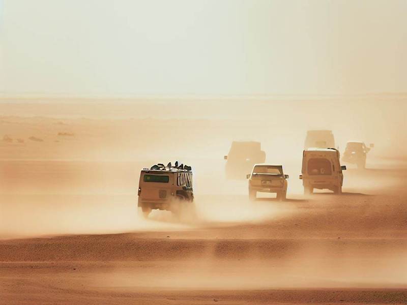Cover image for RileyRisk