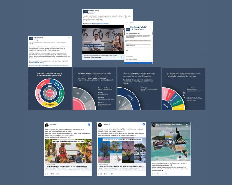 Cover image for Social Media Management