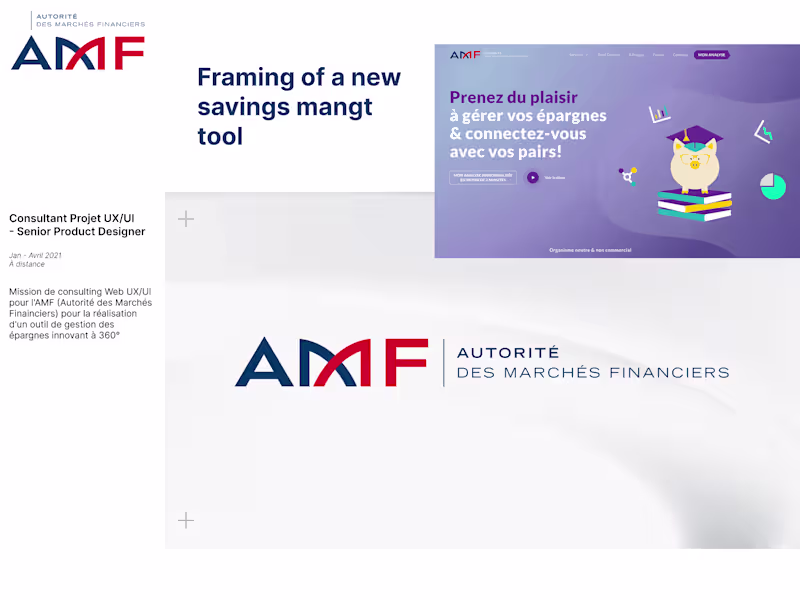 Cover image for Framing of a new savings management tool