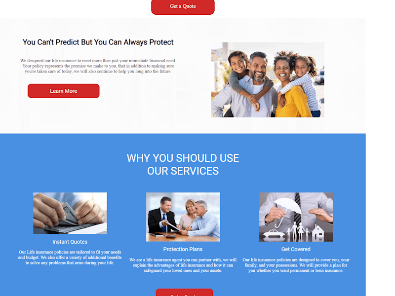 Cover image for Insurance mini-website
