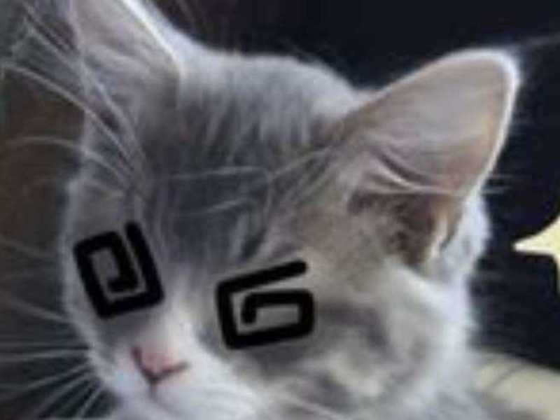 Cover image for Backend development