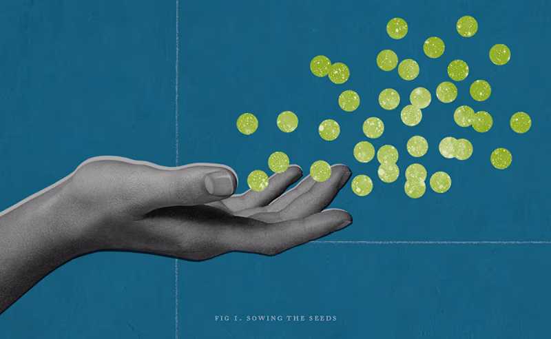 Cover image for Impact²