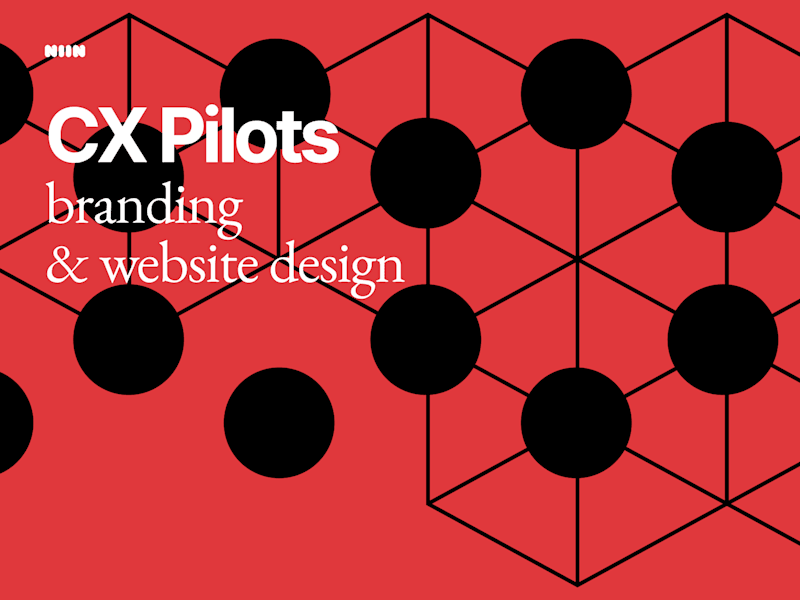Cover image for CX Pilots: Multi-Service