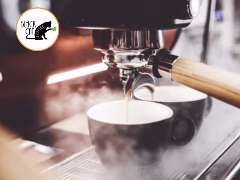 Cover image for I partnered with an LA