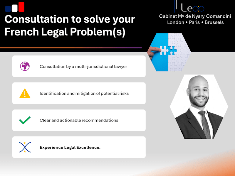 Cover image for Consultation with a French Lawyer