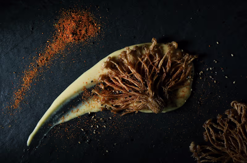 Cover image for The Ballard Cut