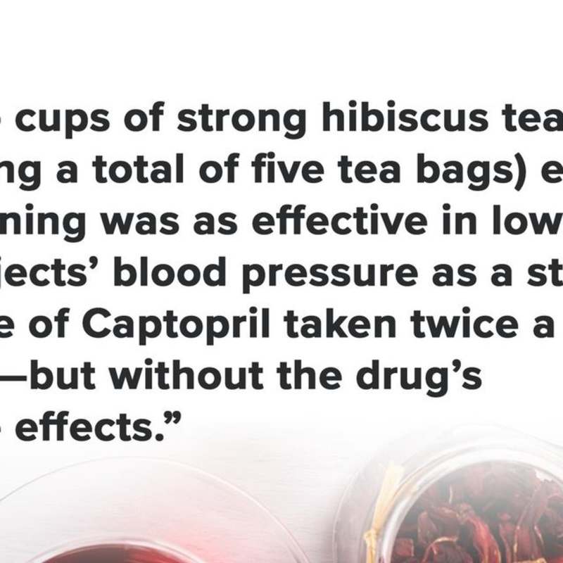 Cover image for NutritionFacts.org on Instagram: “Hibiscus really shines when i…