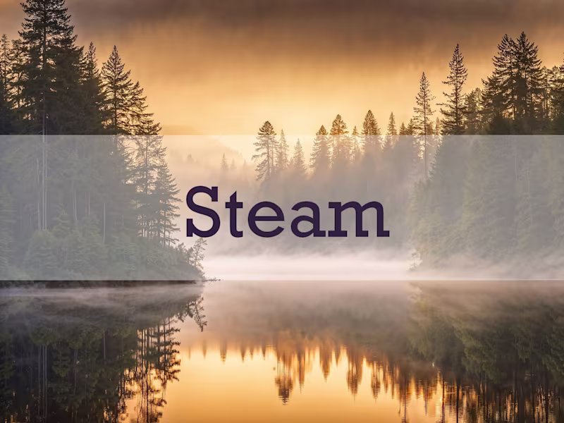Cover image for Steam