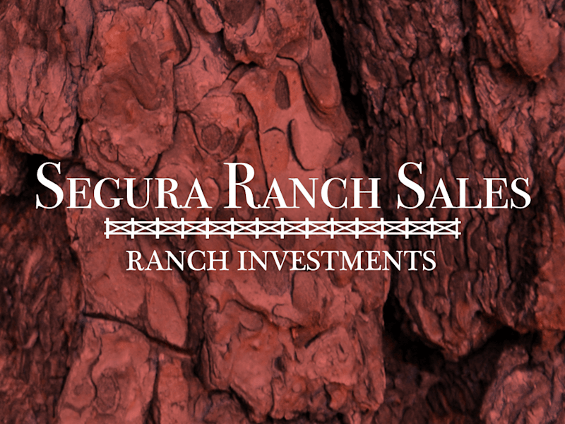 Cover image for Segura Ranch Sales - Real Estate Investments Website