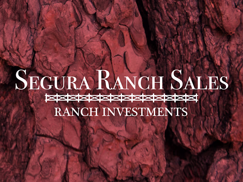 Cover image for Segura Ranch Sales - Real Estate Investments Website