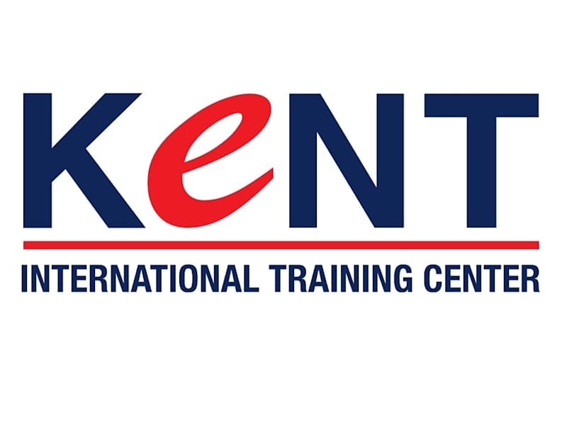 Cover image for CONSULTANT & ACADEMIC (2019-2020)