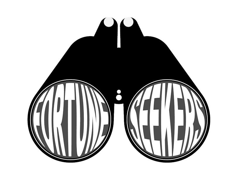 Cover image for Fortune Seeker