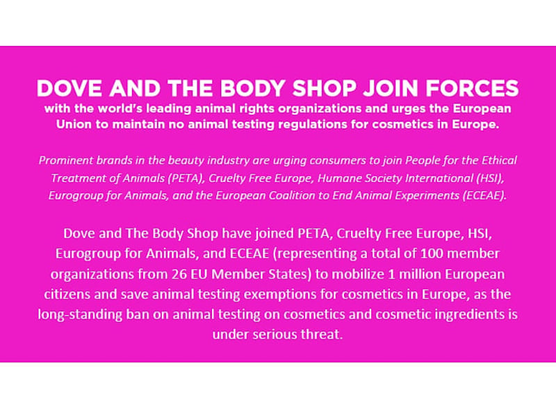 Cover image for The Body Shop PR Campaign Against Animal Testing- Content