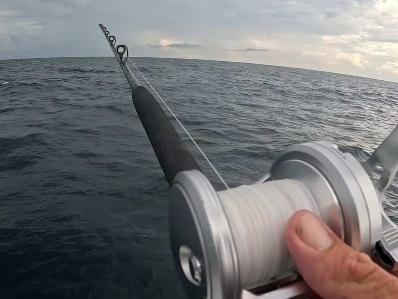 Cover image for Florida Fishing Company