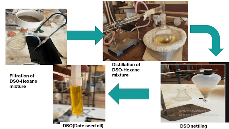 Cover image for Biodiesel synthesis from date seed oil using waste eggshells.