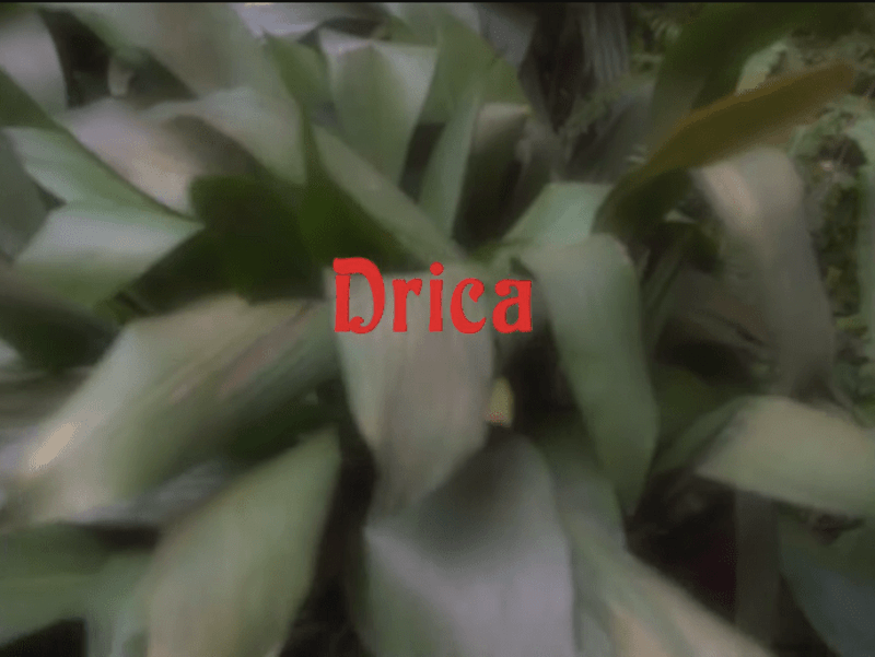 Cover image for Videoclip: Tô te esperando - Drica