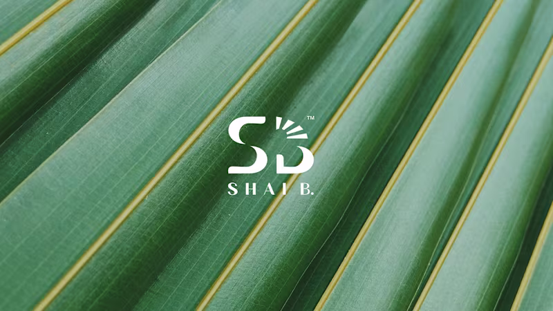 Cover image for Shai B. Swimwear :: Behance