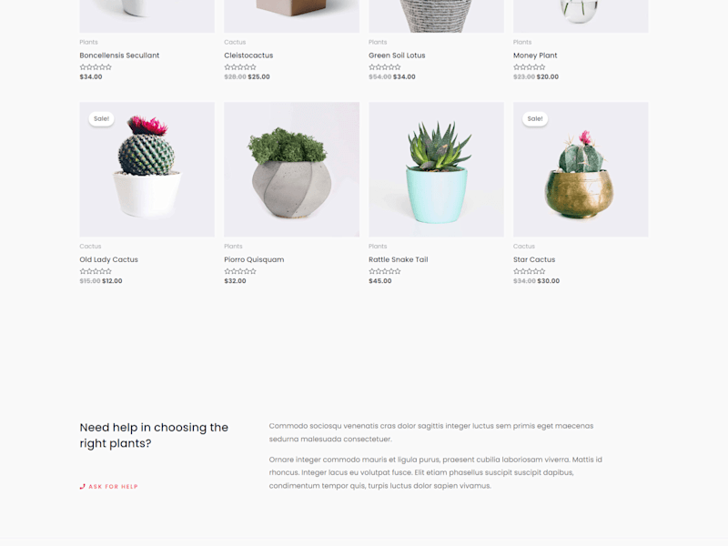 Cover image for E-Commerce Web Design (Simply Natural)