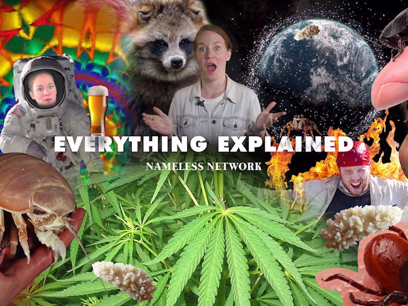 Cover image for Script Writer for Explainer Series 