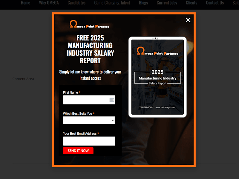 Cover image for OMEGa Point Partners Website design
