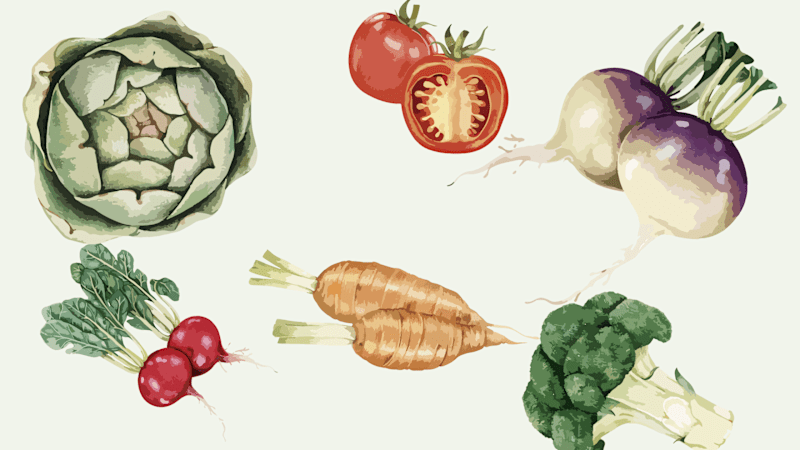 Cover image for Naturopathy, Holistic Medicine, and Healthy Eating: A Holistic A