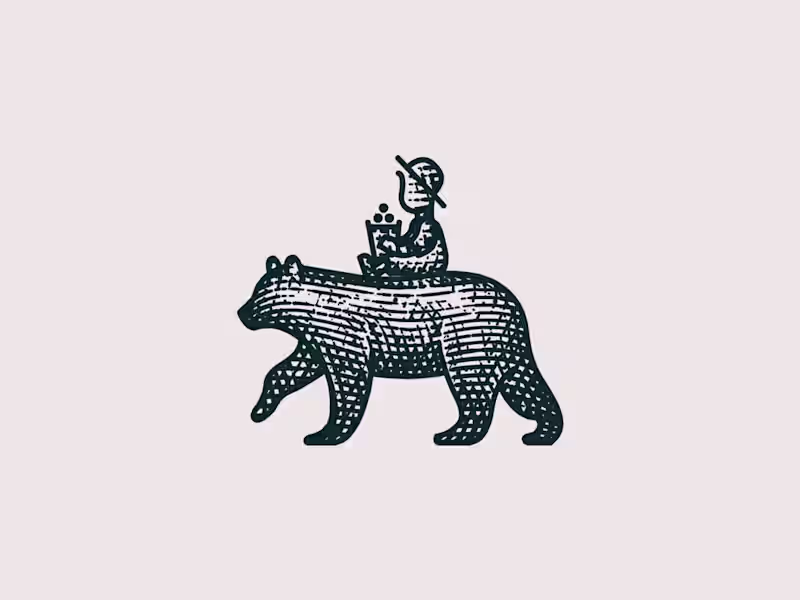 Cover image for The Boy & The Bear