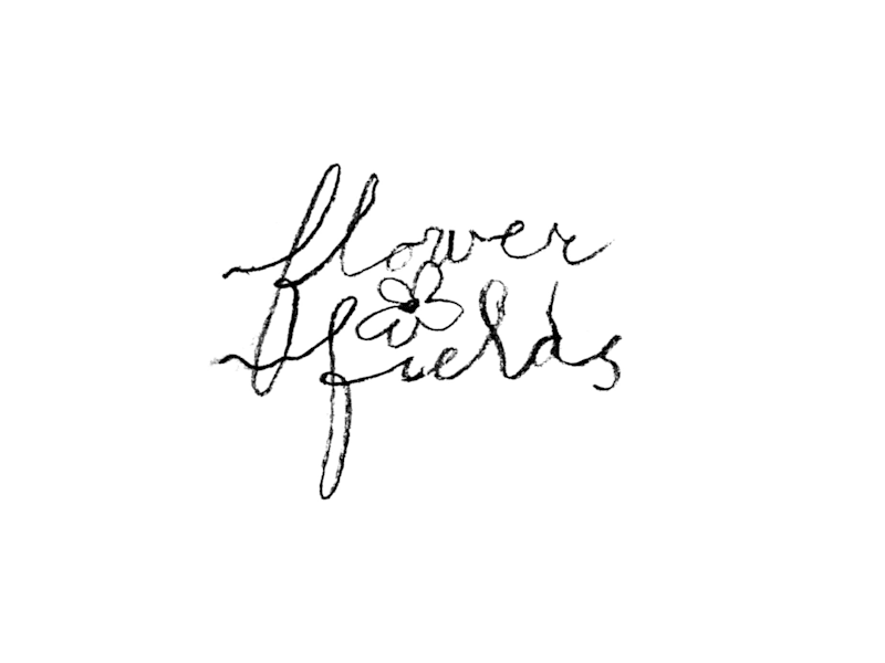 Cover image for Flower Fields