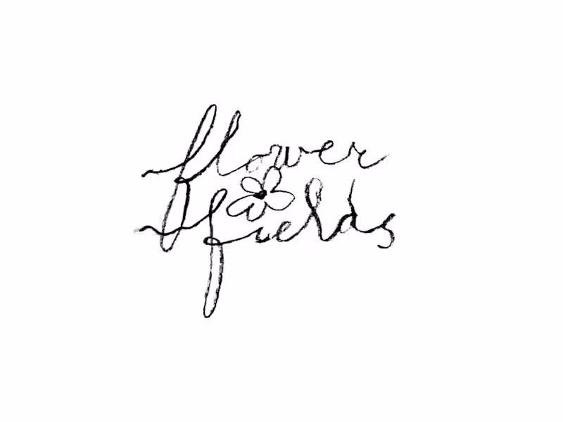 Cover image for Flower Fields