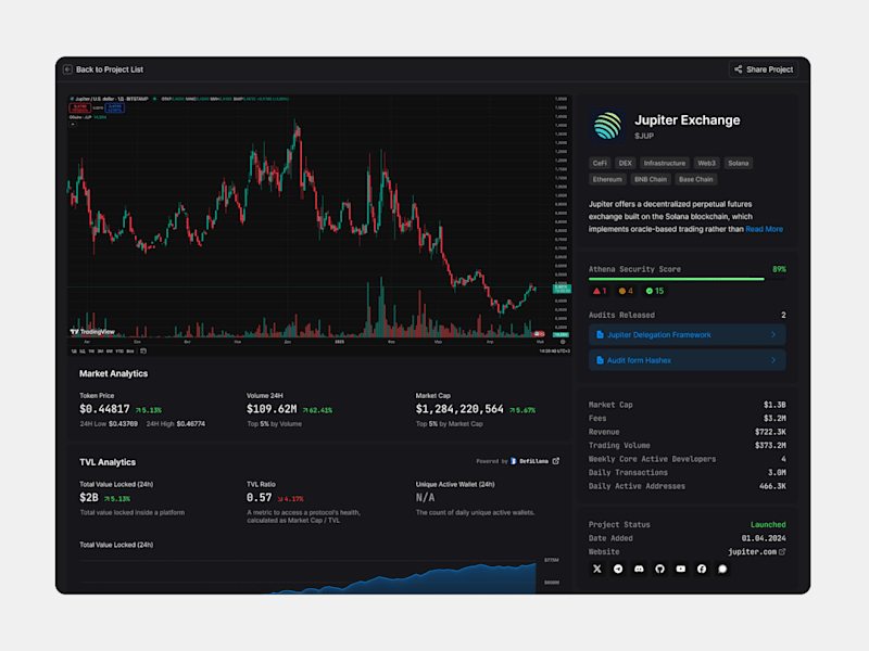 Cover image for Crypto project technical audit page