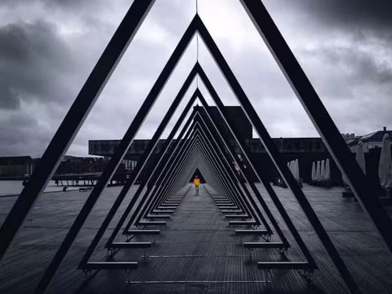 Cover image for Surviving the Bermuda Triangle