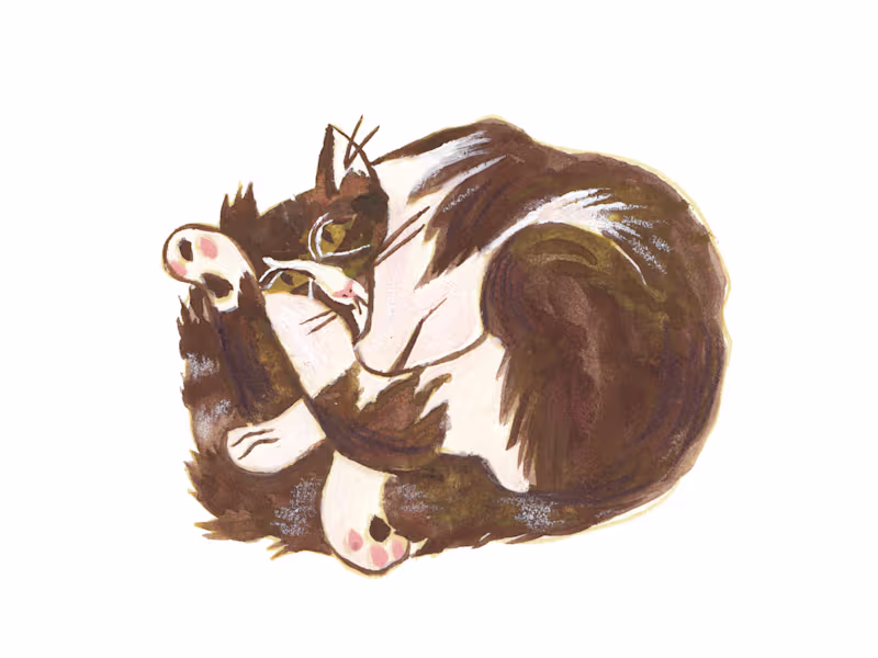 Cover image for Professional Book Cover & Illustration Design Services