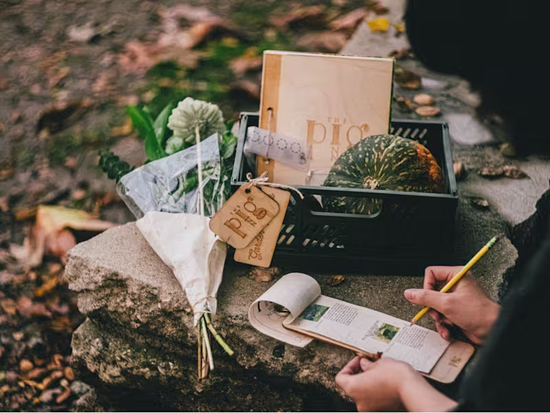 Cover image for graphic design, creative experience curation