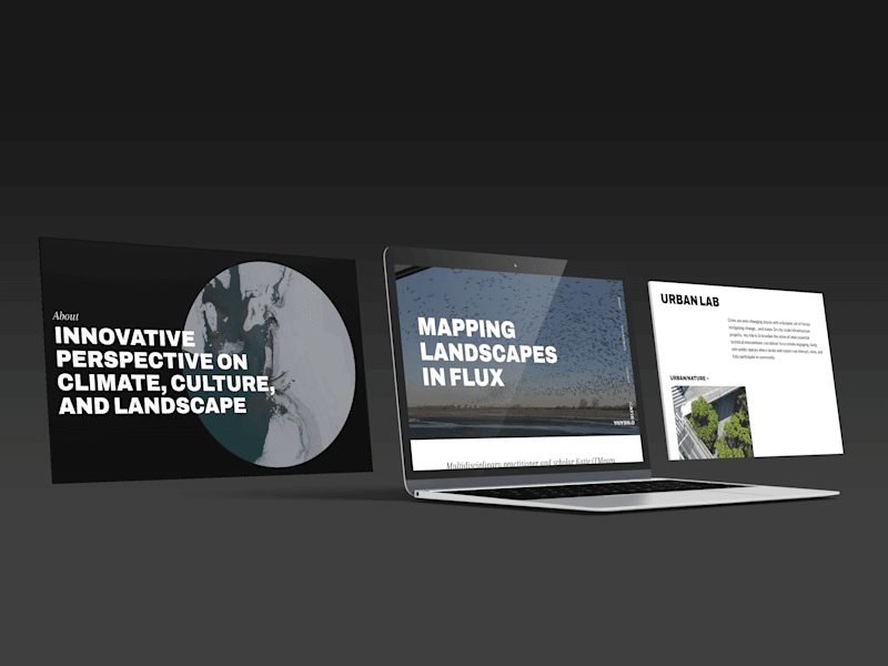 Cover image for Branding & Web Design