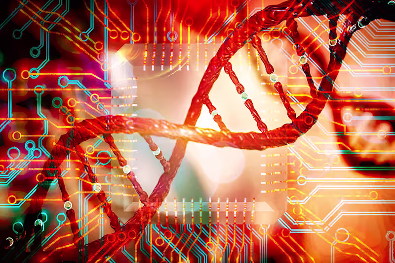Cover image for Bioinformatics and DNA